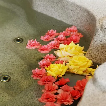 Amfora Panzio فندق مبيت وإفطار 4*