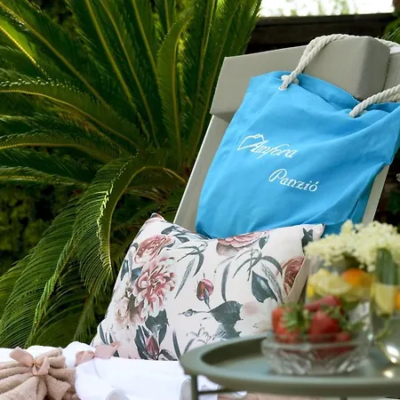 Amfora Panzio غيولا