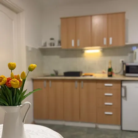Bed and Breakfast Amfora Panzio Gyula