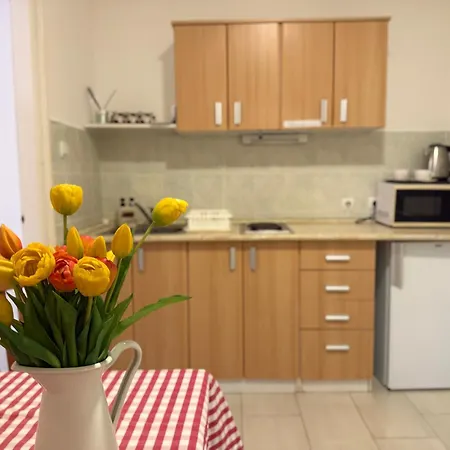Amfora Panzio Bed and Breakfast Gyula