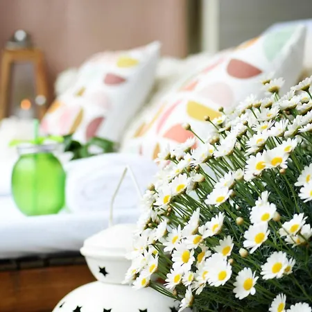 فندق مبيت وإفطار Amfora Panzio غيولا