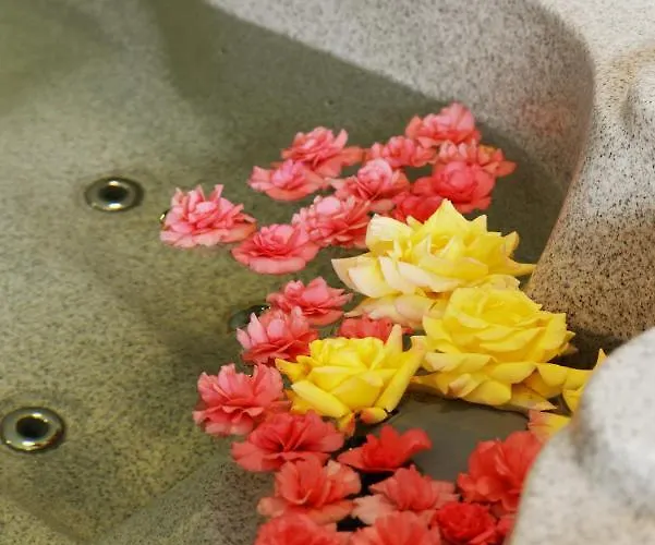 Amfora Panzió Panzió 4*