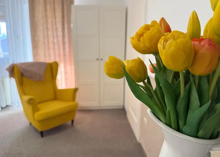 Panzió Amfora Panzió