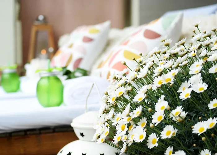 Panzió Amfora Panzió Gyula